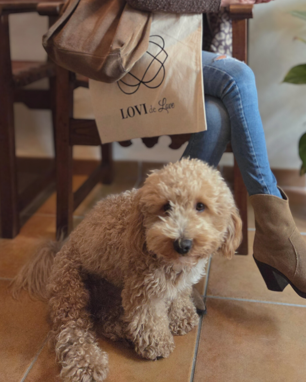 Tote Bag LOVI de Love